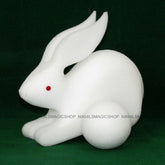 Sponge Balls to Bunny